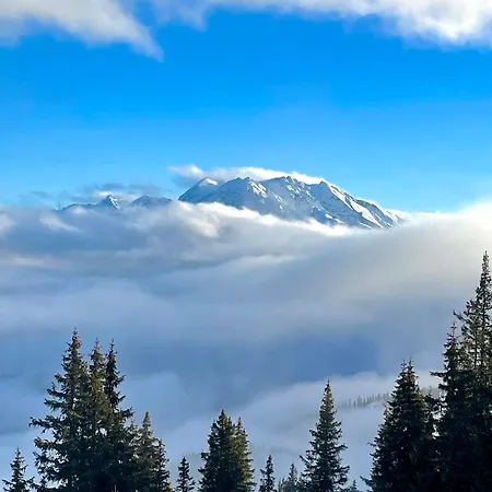 Belmont 弗利姆斯