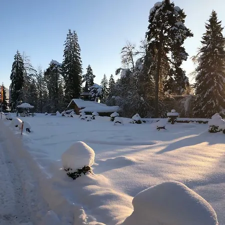Belmont * Flims