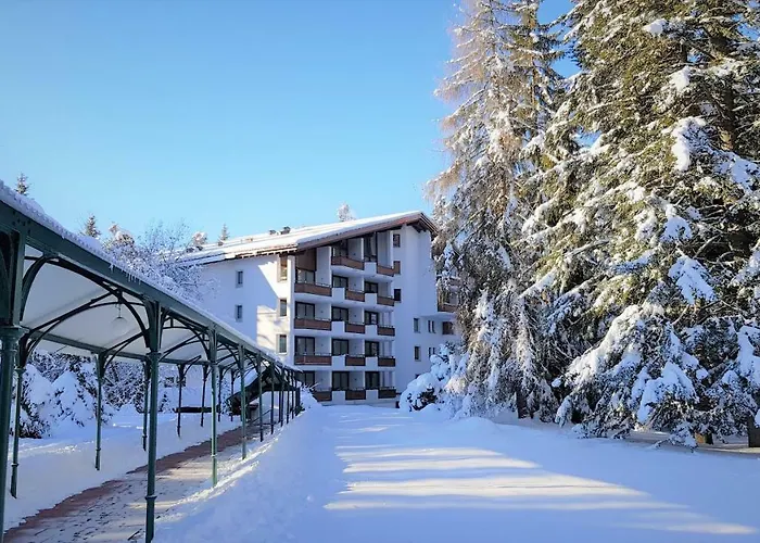 Belmont Apartment Flims